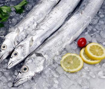 胆固醇高能吃带鱼吗血清胆固醇高怎样治疗