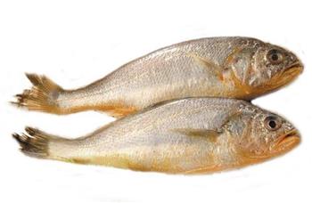 黄花鱼的烹饪方法