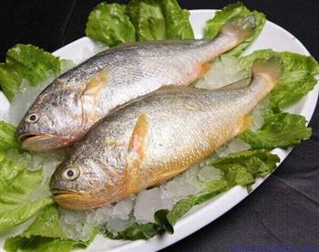 大黄鱼营养好 孕期吃些更健康营养饮食
