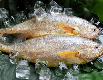 小黄花鱼的家常做法黄花鱼的做法