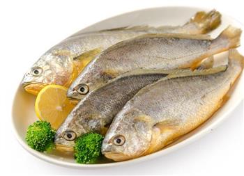 经食黄花鱼能增进食欲