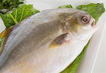 鲳鱼的营养成分有哪些？