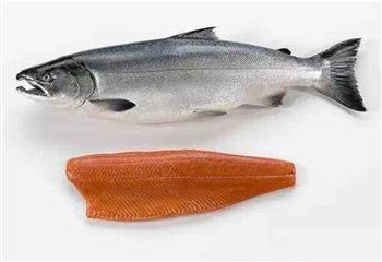 三文鱼营养价值高 世界公认的健康食物小白菜三文鱼
