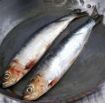 沙丁鱼的营养价值_富含脂肪酸有助于皮肤健康