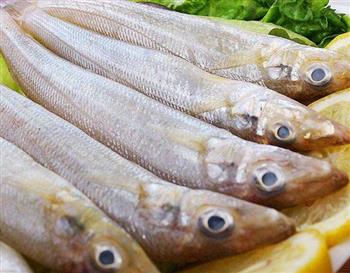 沙尖鱼的营养价值
