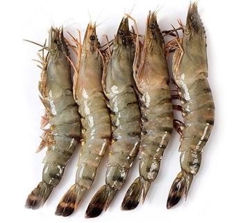 鱼虾类营养又美味 荨麻疹患者食用应谨慎