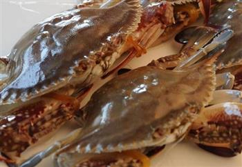 孩童能否吃螃蟹 过敏体质要谨慎育儿