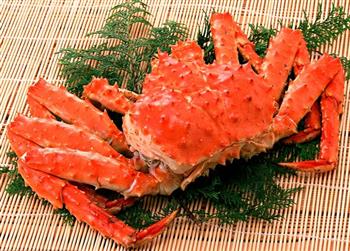 帝王蟹能和西红柿 一起吃吗/同吃_帝王蟹和西红柿 相克吗 帝王蟹能和西红柿 一起吃吗/同吃_帝王蟹和西红柿 相克吗