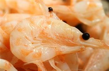 海虾种类大全_海虾有哪几种_虾的种类有多少种_虾的种类