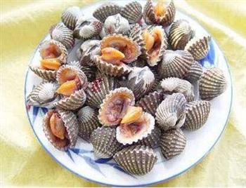 泥蚶的功效与作用_泥蚶的适合体质_泥蚶的制作技巧