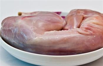 野兔肉的功效与作用_野兔肉的适合体质_野兔肉的食用禁忌