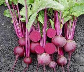 乏力的食物有哪些?吃什么好 乏力的食物有哪些?吃什么好