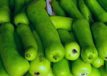 蒲瓜能和桂鱼一起吃吗_蒲瓜和桂鱼能一起吃吗/同吃