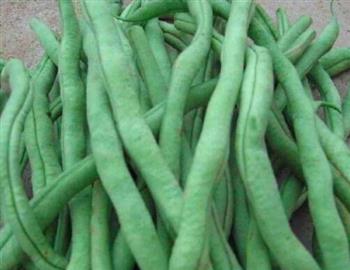 益气健脾的食物有哪些？吃什么好