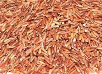 红米的营养价值有哪些