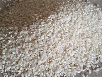 怎样处理生虫子的大米