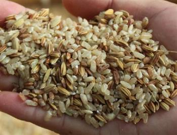 便秘的食物与饮食方法