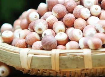 白浊吃什么食物好?如何饮食 白浊吃什么食物好?如何饮食