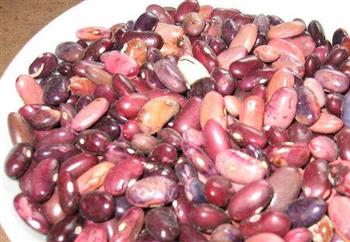 红花豆的功效与作用_红花豆的营养成分