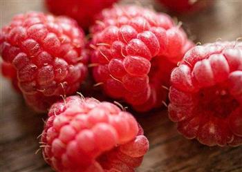 树莓的功效与作用_树莓的营养价值