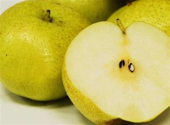 苹果梨能和枸杞一起吃吗_苹果梨和枸杞能一起吃吗/同吃