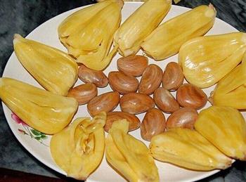 菠萝蜜籽的功效与作用_菠萝蜜籽的食用禁忌_菠萝蜜籽的的适宜人群