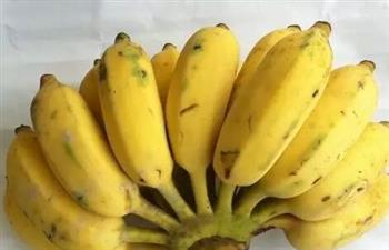 肾癌病人的亲密水果----香蕉
