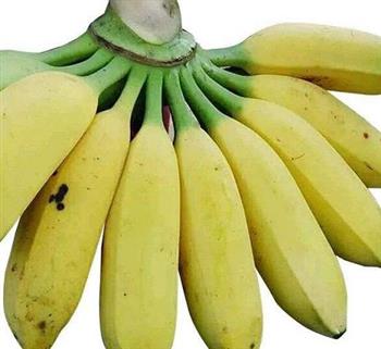 盘点香蕉的功效和食用禁忌饮食禁忌