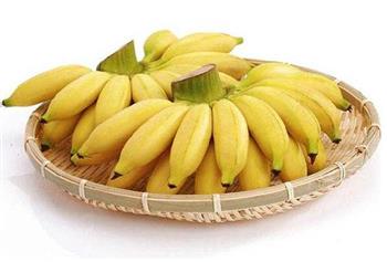 香蕉如何吃才健康