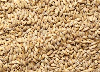 大麦食品保障心脏健康
