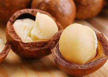 夏威夷果的功效作用 抗衰防癌