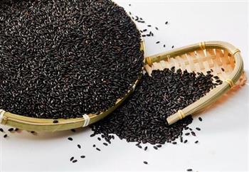 黑芝麻加粳米熬粥可可以防脱发