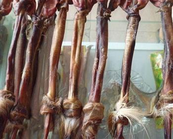 益精血的食物与饮食方法 益精血的食物与饮食方法