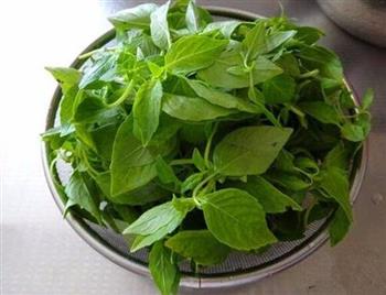 透疹吃什么食物好？如何饮食