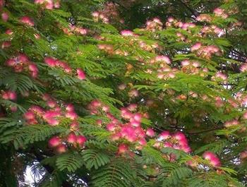 滋阴补阳的食物有哪些？吃什么好