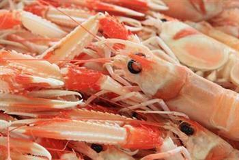 吃虾子过敏病状主要有哪些 吃虾后皮出现肤过敏怎么办