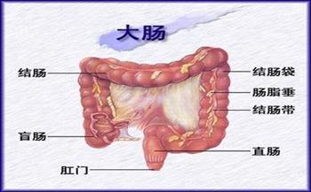 先天性短结肠治疗 先天性短结肠症状