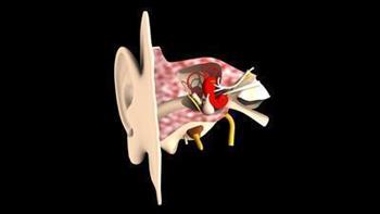 神经耳鸣有什么治疗偏方 改善神经耳鸣的方法