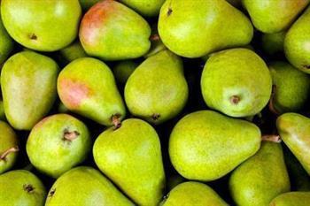 前列腺肥大可以吃梨吗 前列腺肥大在生活上要吃什么食物