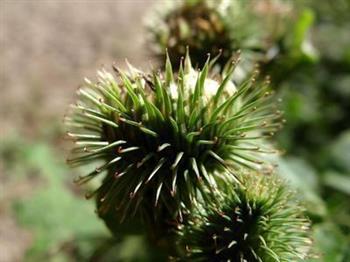 额头的痤疮怎么调理 如何保养自己的皮肤