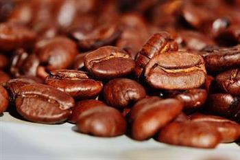 两大咖啡豆种类及特点 咖啡豆的知识