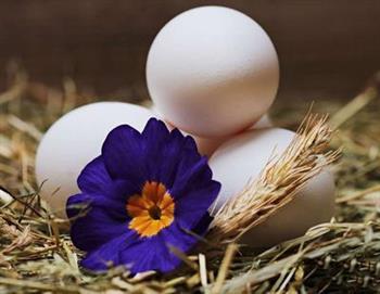 胃酸过多可以吃鸭蛋吗 鸭蛋对胃酸分泌的影响