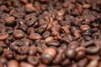 咖啡树种类族谱 咖啡树的养生药用价值有哪些