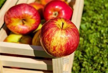 乙肝大三阳可以吃苹果吗 乙肝大三阳的病因都有哪些呢