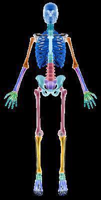 右腹部肋骨下按压疼痛怎么办 为什么会右腹部肋骨痛