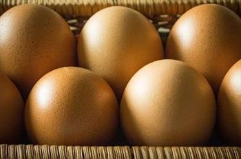 皮肤对鸡蛋清过敏症状 皮肤对鸡蛋清过敏后需要注意什么
