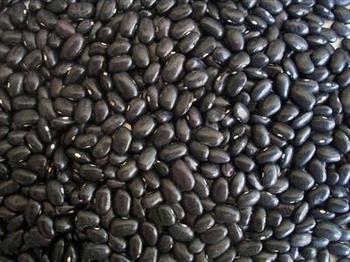 长期喝黑豆浆的好处 黑豆浆的养生功效和作用