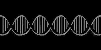 单基因遗传病概率 单基因遗传病的形成
