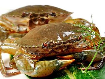 食用螃蟹常见的15大禁忌