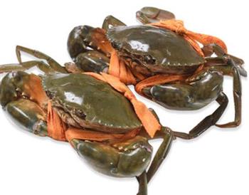 大闸蟹怎么吃 吃螃蟹的禁忌有哪些